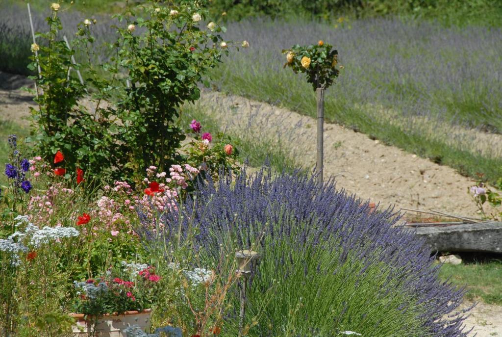 Le Parfum Bleu Bed & Breakfast Chantemerle-les-Grignan Exterior photo