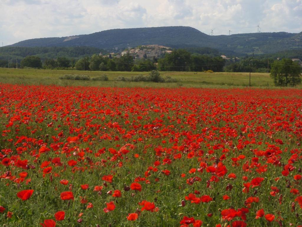 Le Parfum Bleu Bed & Breakfast Chantemerle-les-Grignan Exterior photo